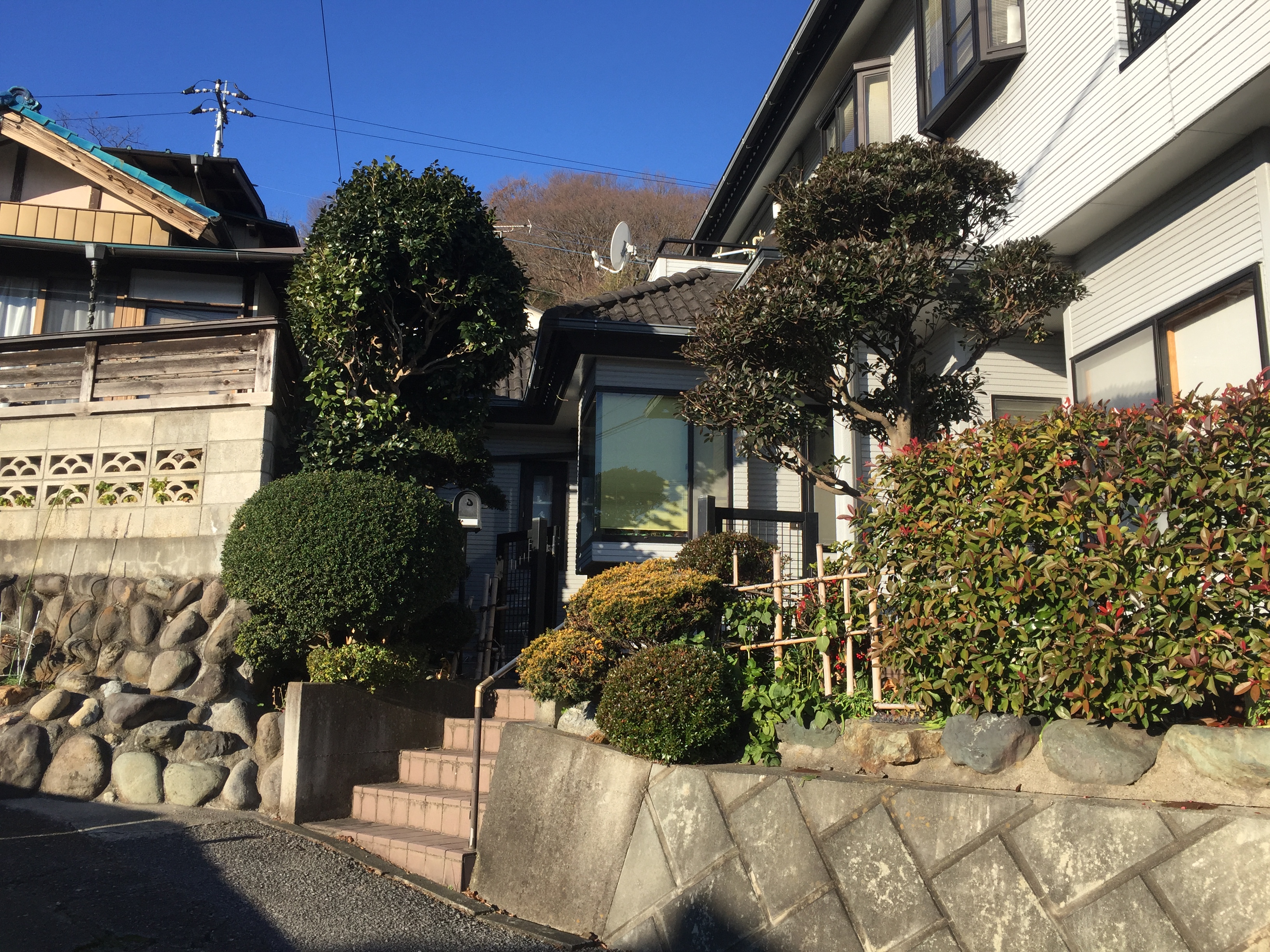 桐生市 M様邸
庭木手入